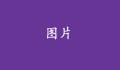 沒有標(biāo)題的話，就不會(huì)顯示